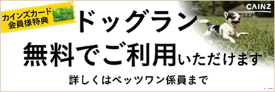 カインズホーム 三浦店 神奈川県三浦市 ホームセンター Diy E Navita イーナビタ 駅周辺 街のスポット情報検索サイト