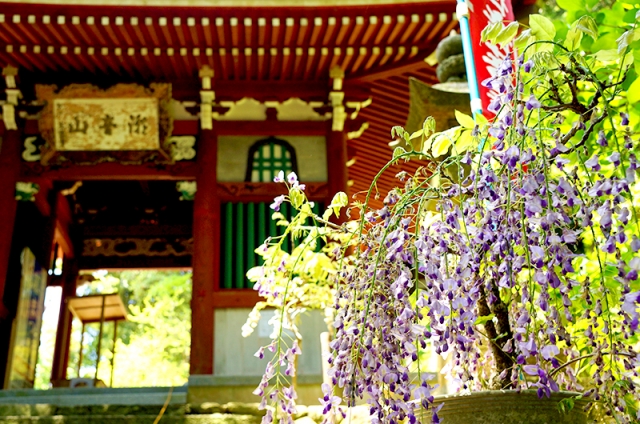 潮音山 太江寺