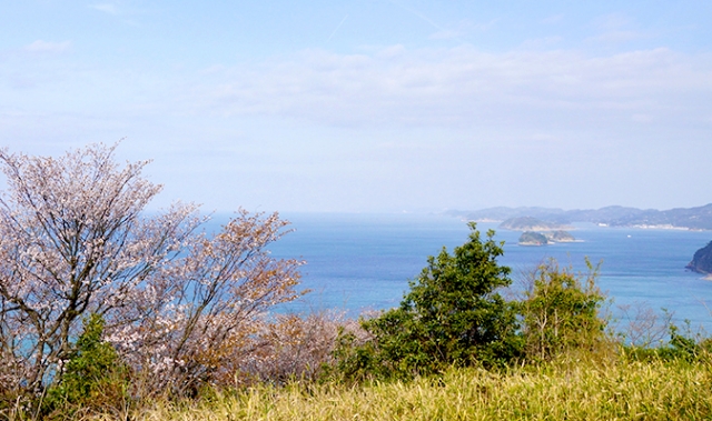 潮音山 太江寺