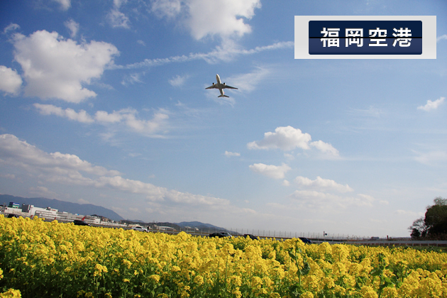 福岡空港国内線ターミナル