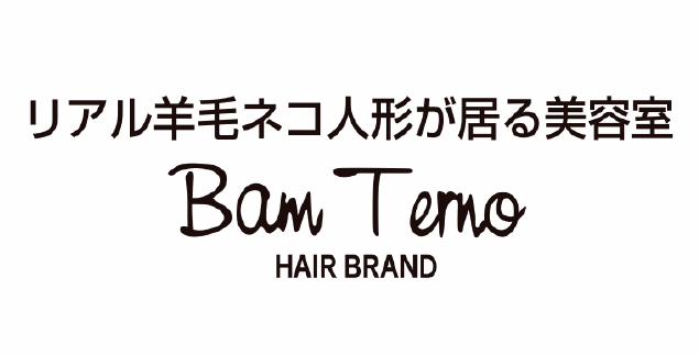 Bam Terno HAIR BRAND