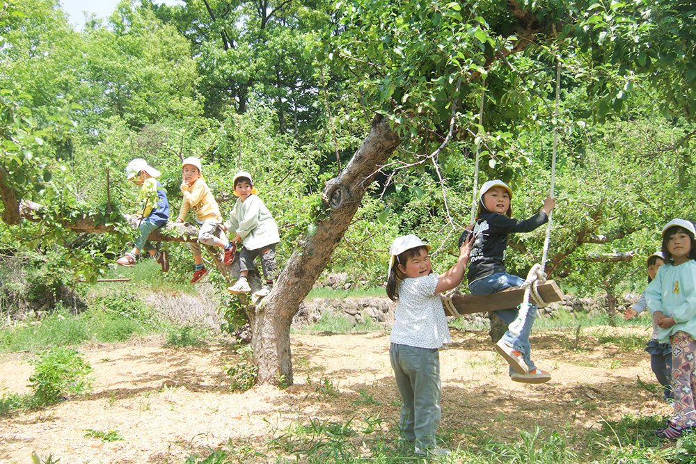 みすず幼稚園