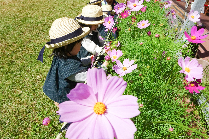 京都ランド園