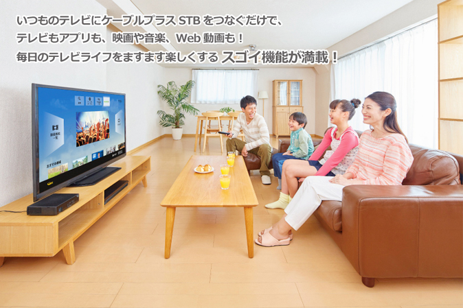 館林ケーブルテレビ 館林市 ケーブルテレビ Wi Fi インターネット イーナビタ