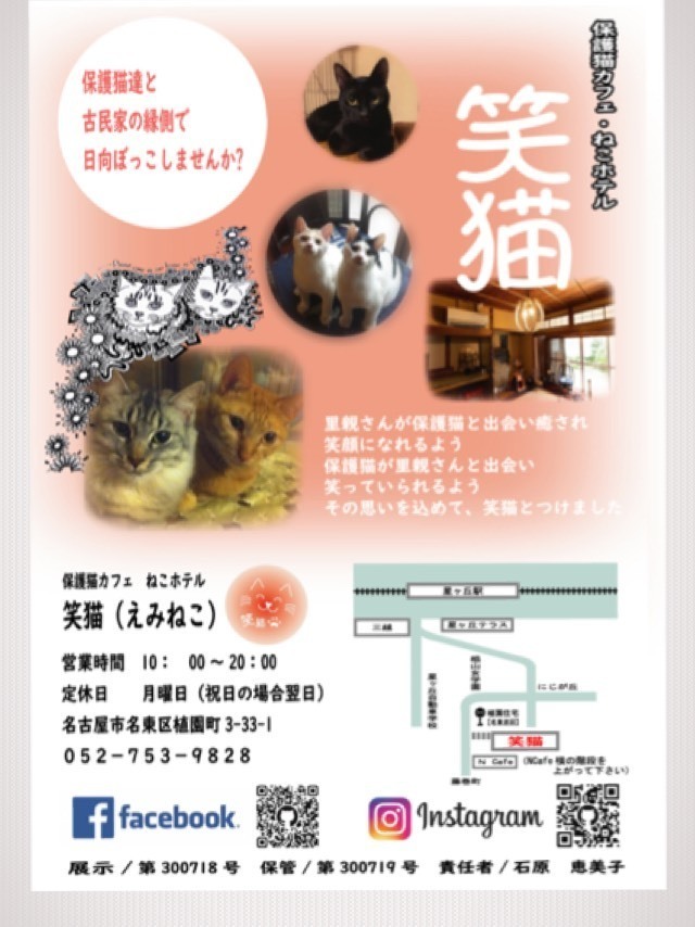 保護猫カフェ ねこホテル 笑猫 名古屋市名東区 ペットホテル 猫カフェ イーナビタ