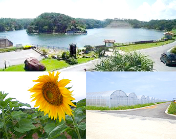 沖縄県中部農林土木事務所