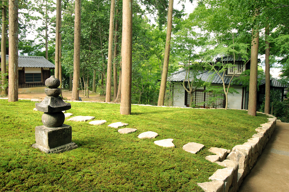 京都の樹木葬