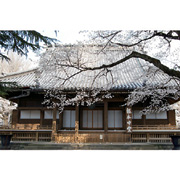 東叡山　寛永寺