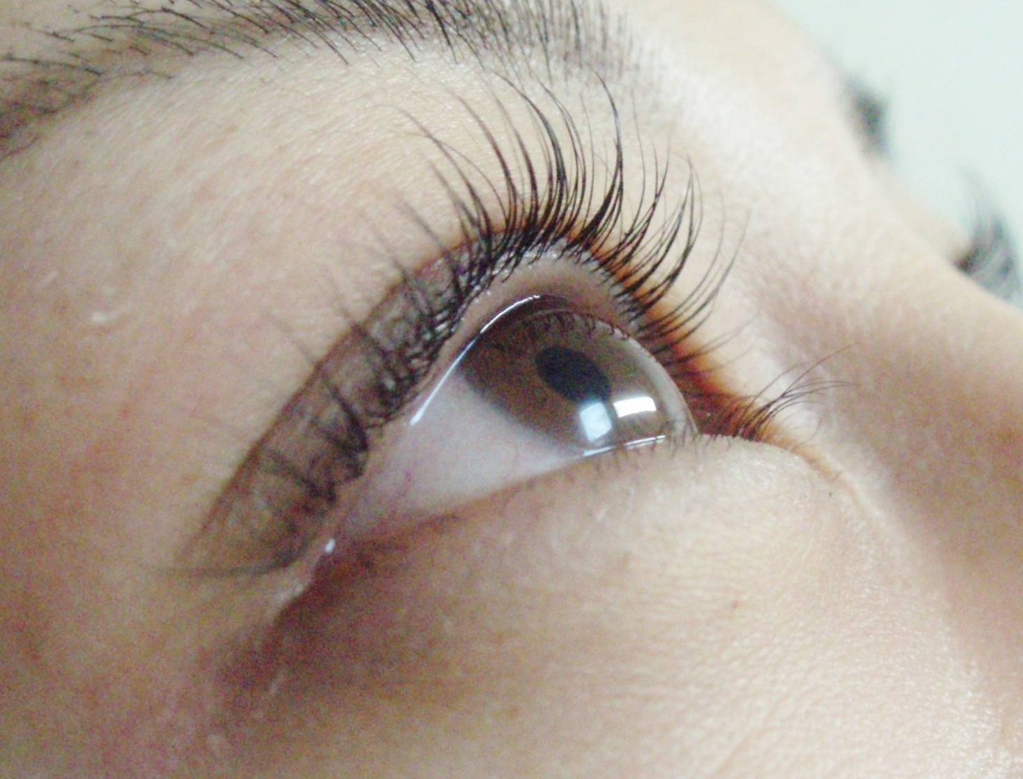 Eyelash Salon Aya