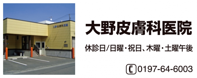 大野皮膚科医院 岩手県北上市 皮膚科 E Navita イーナビタ 駅周辺 街のスポット情報検索サイト