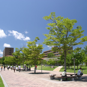 広島大学