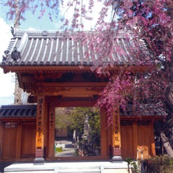 鳳赤山 西光寺