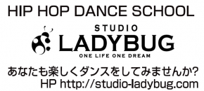 STUDIO LADYBUG