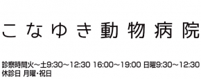 こなゆき動物病院