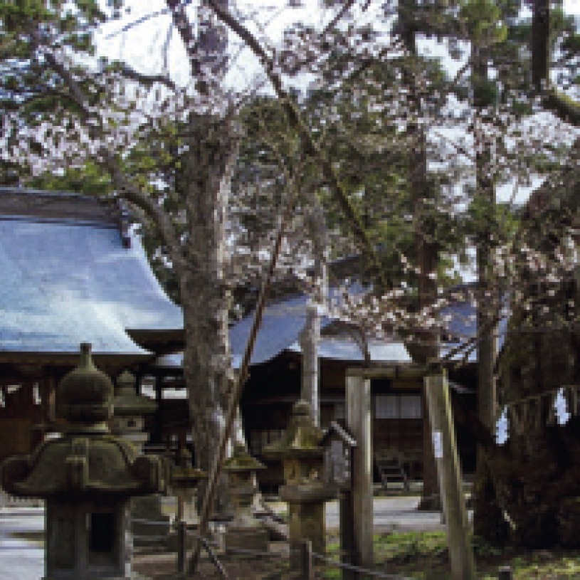 蚕養国神社