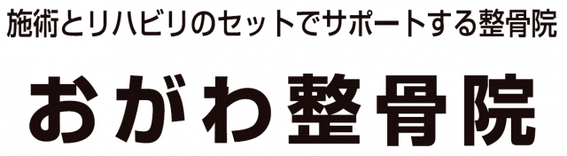 おがわ整骨院