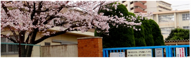 福岡市立 福浜小学校